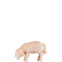 Lamb grazing for Nativity scene - Artis