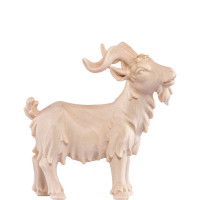 Billy goat for Nativity scene - Artis        