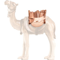 Baggage for camel               