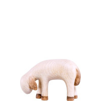 Sheep grazing for Nativity scene - Fides