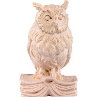 Owl on book wooden decoration