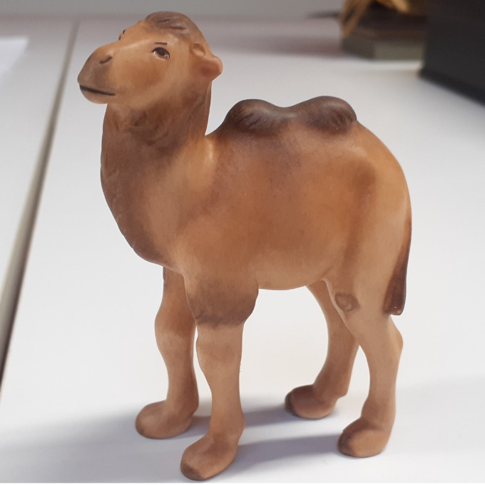 Camel for Nativity Scene - African