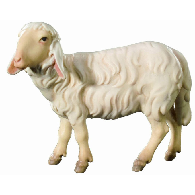 Sheep for Nativity scene - Royal