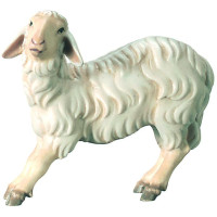 Sheep for Nativity scene - Royal