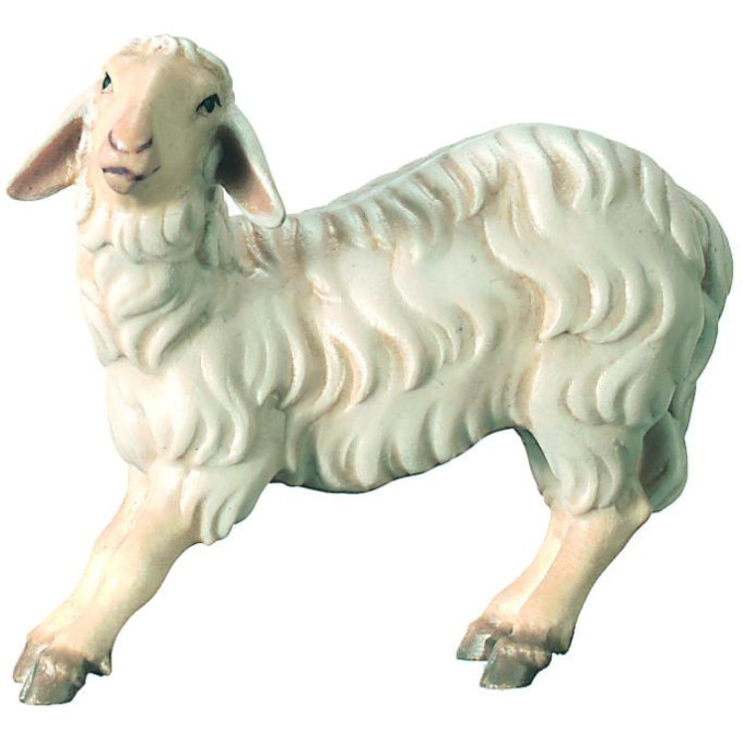 Sheep for Nativity scene - Royal