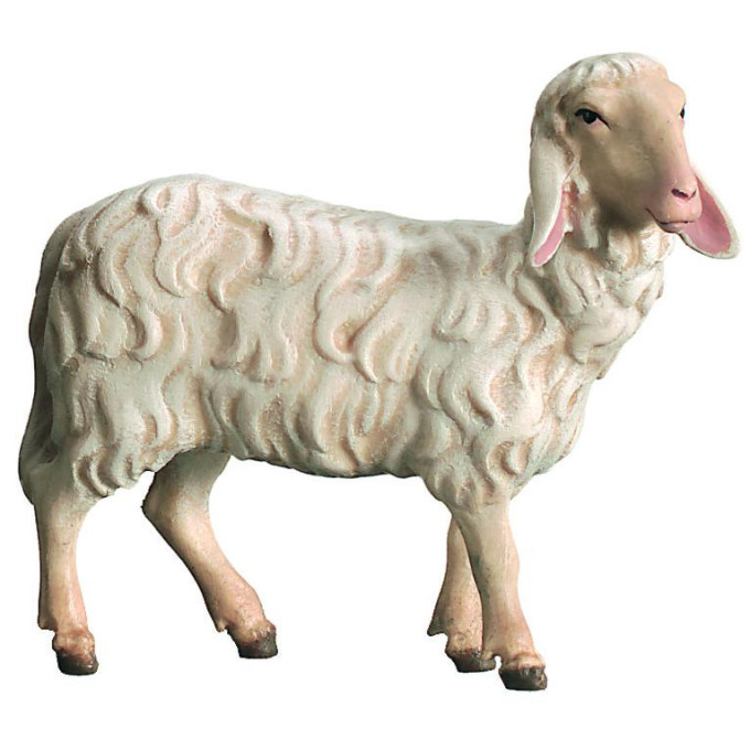 Sheep standing for Nativity scene - Royal