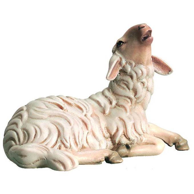 Sheep bleating for Nativity scene - Royal