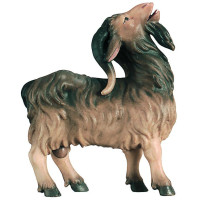 Billy Goat for Nativity scene - Royal