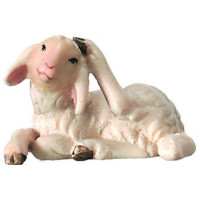 Scratching nativity lamb - Royal