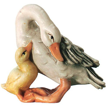 Hus s kurčiatkami pre betlehem - Kráľovský