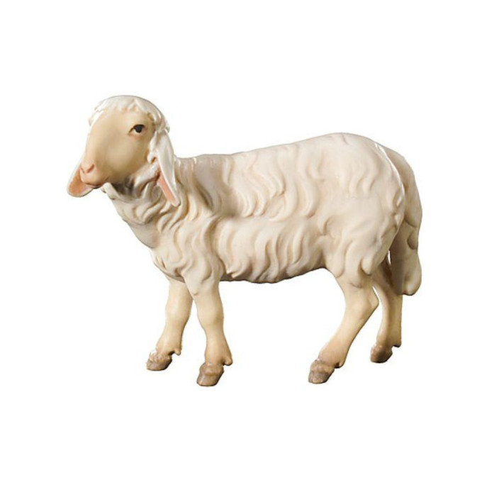 Standing sheep looking to the right - Peasant