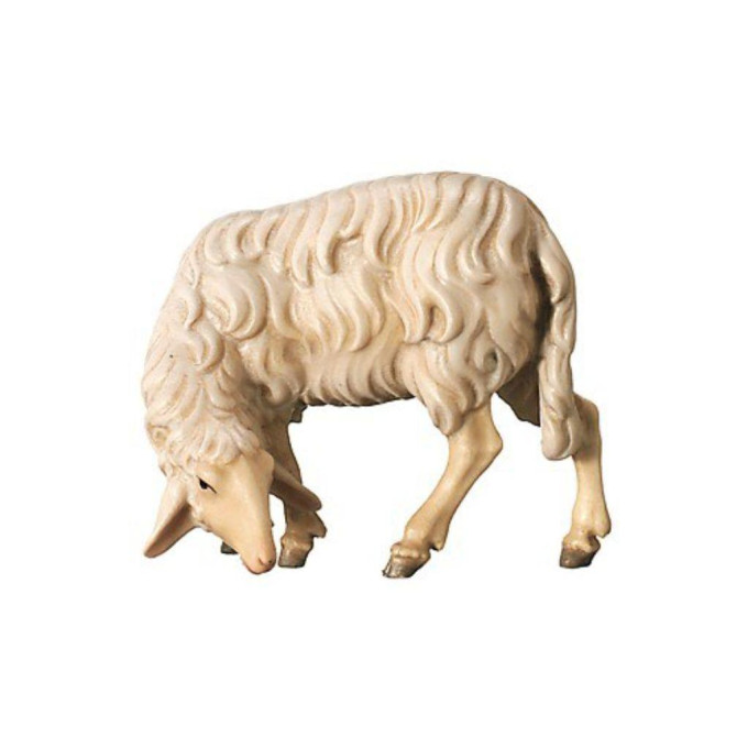 Grazing sheep - Peasant