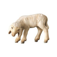 Grazing lamb - Peasant