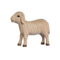 Standing sheep - Children's