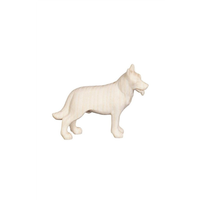 Nemecký ovčiak pre betlehem - Adventný