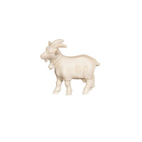 Koza pre betlehem - Adventný