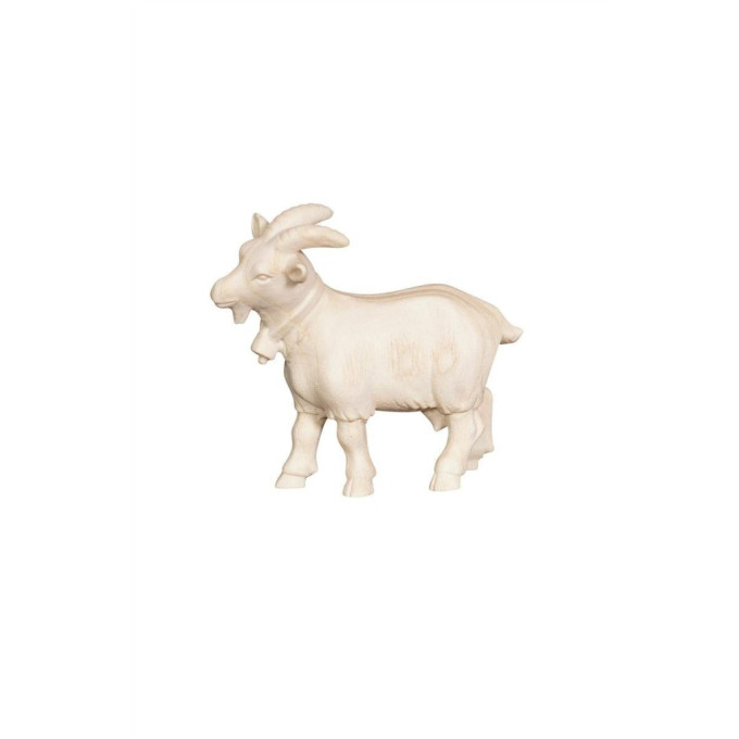 Koza pre betlehem - Adventný