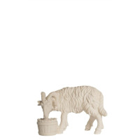 Ram with bucket for Nativity scene - Homeland