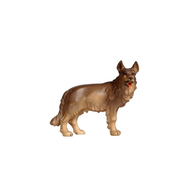 German shepherd for Nativity scene - Homeland