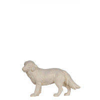 Ovčiarsky pes pre betlehem - Vidiecky