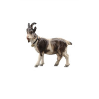 Koza so zvoncom pre betlehem - Vidiecky