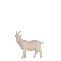 Koza so zvoncom pre betlehem - Vidiecky