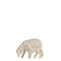  Sheep grazing with lamb for Nativity scene - Homeland