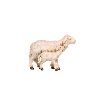 Sheep with lamb standing for Nativity scene - Homeland