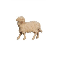 Ram looking left for Nativity scene - Alpine