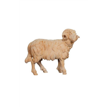 Baran pozerajúci vpravo pre betlehem - Alpský