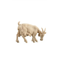 Pasúca koza pre betlehem - Alpský