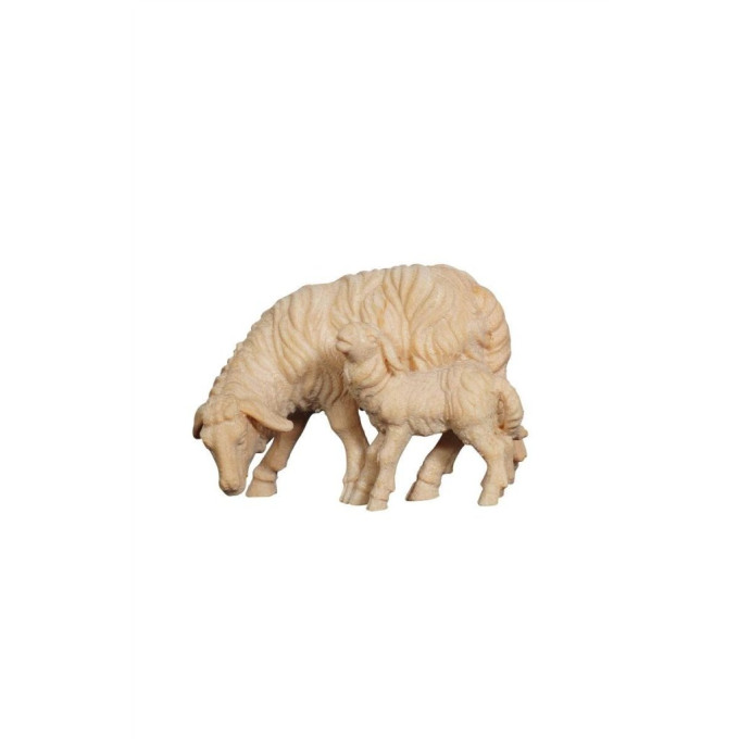 Sheep grazing with lamb for Nativity scene - Alpine