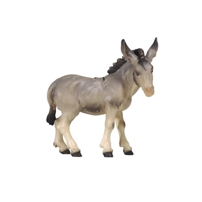  Donkey for Nativity - Israel