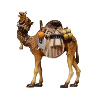 Camel with luggage - Israel