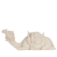 Camel lying - Israel