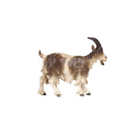 Standing Goat - Israel