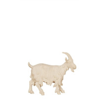 Standing Goat - Israel