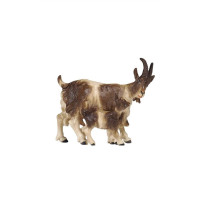 Koza s kozliatkom - Izrael