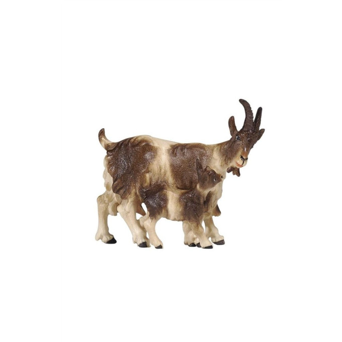 Koza s kozliatkom - Izrael