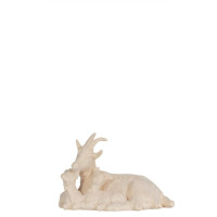 Lying goat with kids - Israel