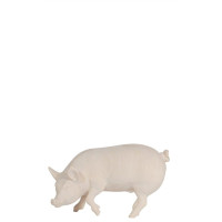 Pig for Nativity scene - Jerusalem