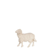 Ram looking left for Nativity scene - Jerusalem