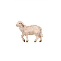 Standing sheep - Kostner