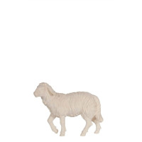 Standing sheep - Kostner