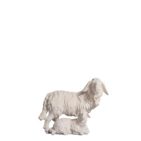 Sheep and lamb - Kostner