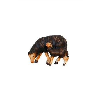 Ovca s ovečkou - Izrael