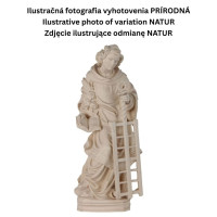 Saint Vincent of Saragozza