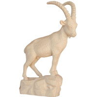Mountain Goat