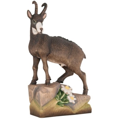 Celebrate World Animal Day with us