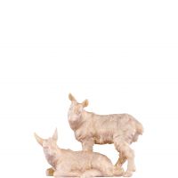 Kozliatka pre betlehem - dolomitský